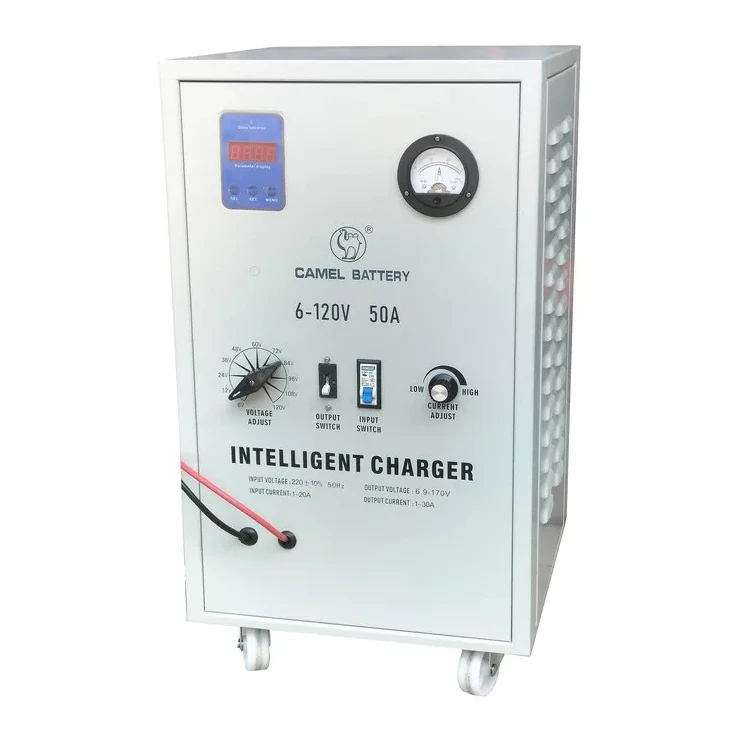Carregador de bateries resistents 12 24v